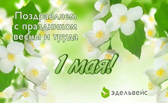3d561532dbcfa86b1077639f3fd61a71.jpg