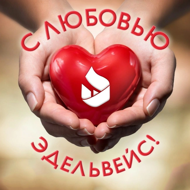 02ef5018c8afc4cd9f978ecb0141ed72.jpg