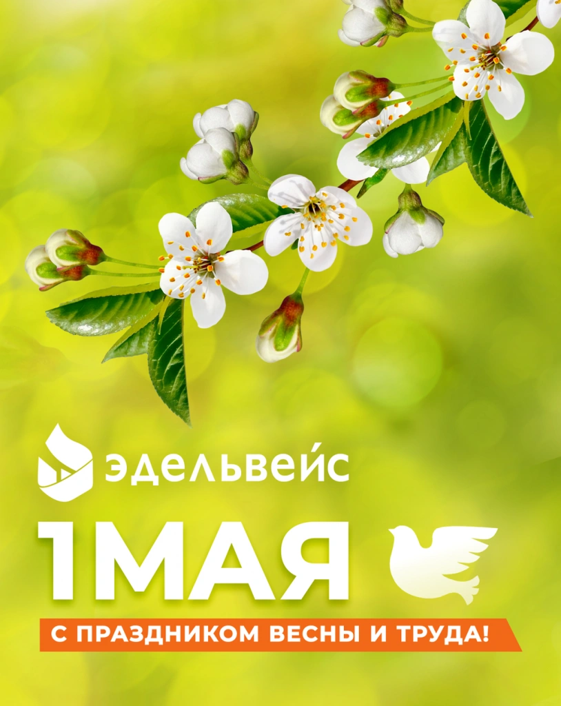 80572f8bf528757a79db7d0e296bfa0f.png