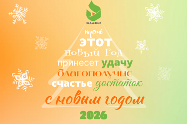 С Новым 2026 годом! 